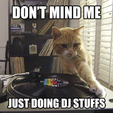 Cat Doing DJ Stuffs