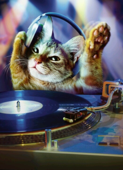 DJ Purr Mixing