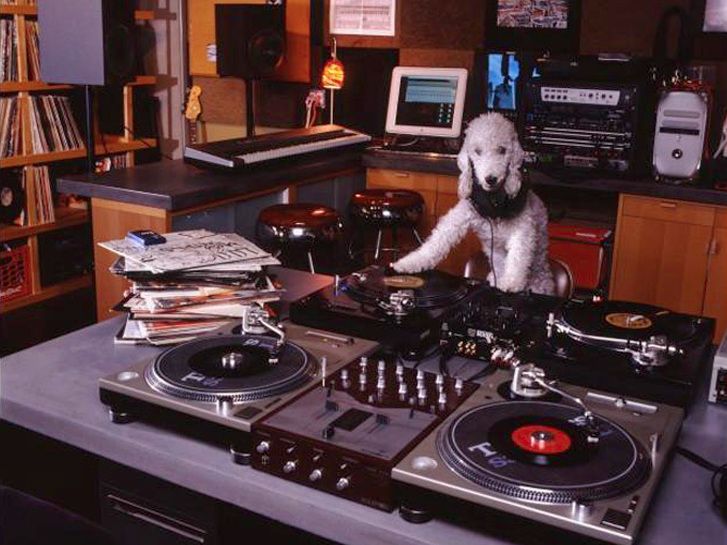 DJ Scruffy Woof