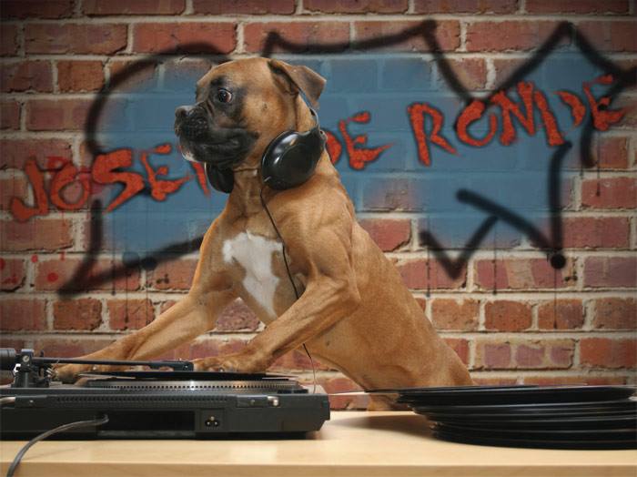 DJ Woof