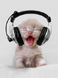 Party Cat DJ
