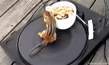 Chipmunk DJ Loop