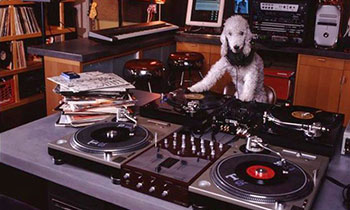 DJ Scruffy Woof