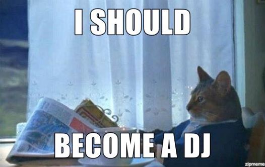 I Should Become a DJ