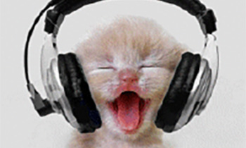 Party Cat DJ