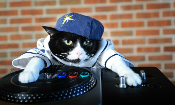 Gangster Cat DJ