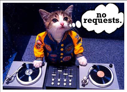 Cat DJ 