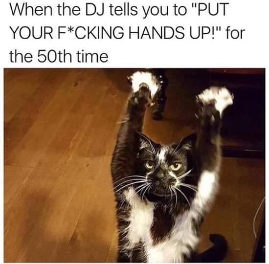 DJ Asking to Put Your Hands Up