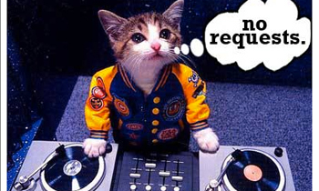 Cat DJ