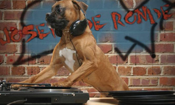 DJ Woof