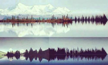 Sound Waves and Nature